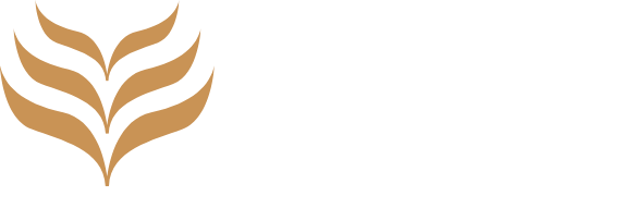 Vaas Aspire